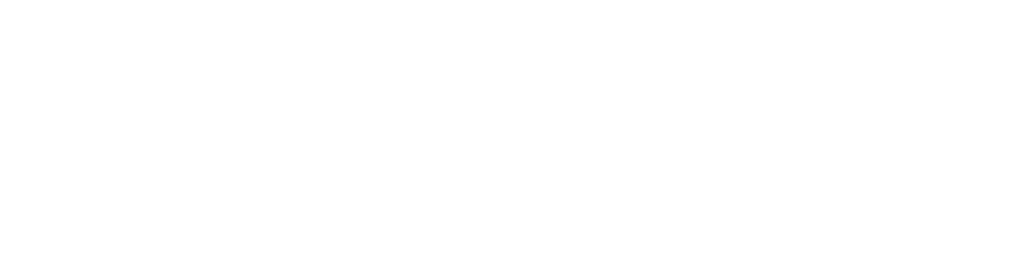 AP CAPITAL